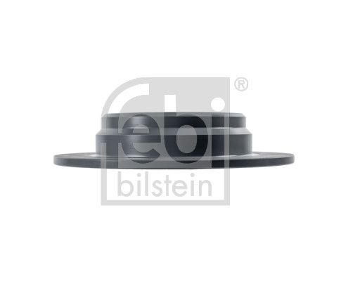 Febi 2 x Brake Disc Set Solid Rear
