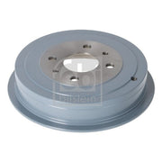 Febi Brake Drum Assembly Rear 194800