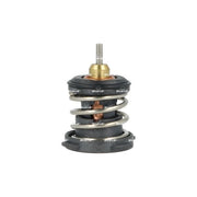 NRF Thermostat,Coolant 725387