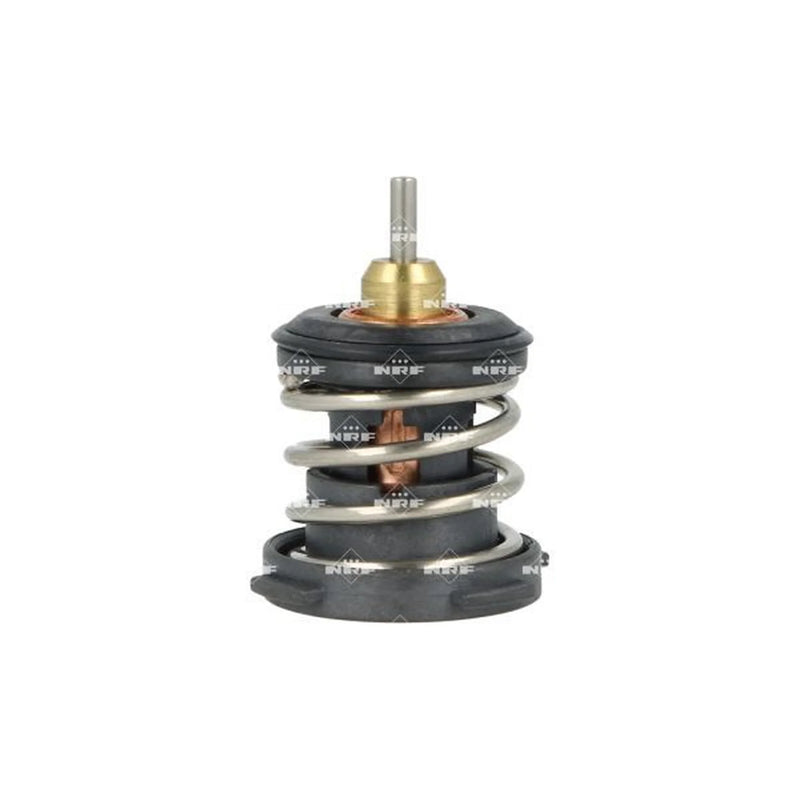 NRF Thermostat,Coolant 725387