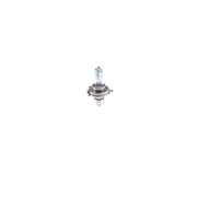 Bosch Automotive Bulb 1 987 301 136
