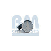 BM Catalysts Homologated Diesel Cat & Dpf BM11351H