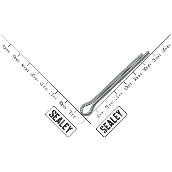 Sealey Pin