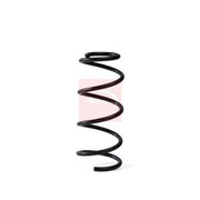 Apec 2 x Suspension Springs ACS2069