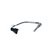 NRF Exhaust Gas Temperature Sensor before soot particu 707266