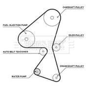 Borg & Beck Timing Belt & Water Pump Kit BTW1002
