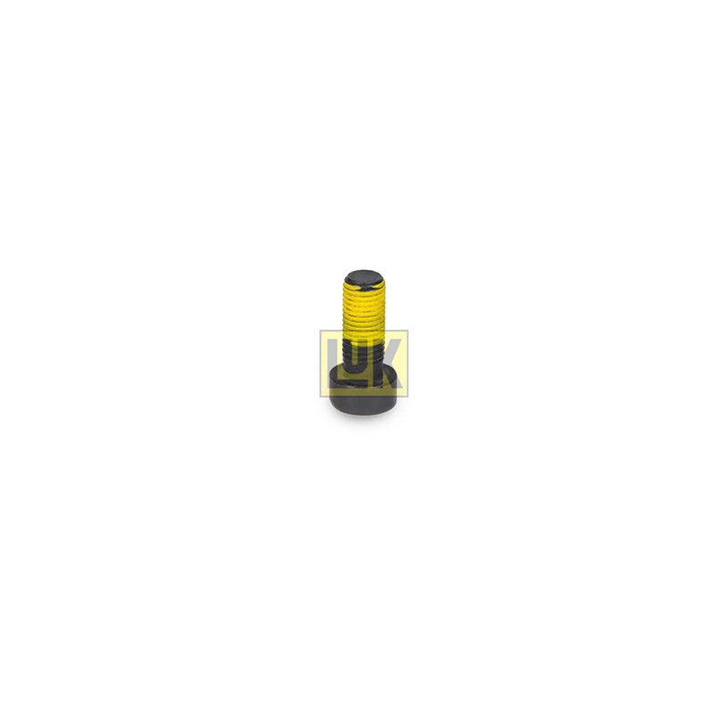 LuK Dmf Bolt Fitting Kit 411022610