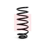 Apec 2 x Suspension Springs ACS1039