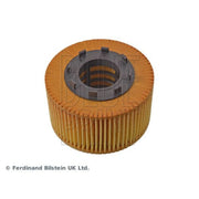Blue Print Engine Oil Filter ADJ132125