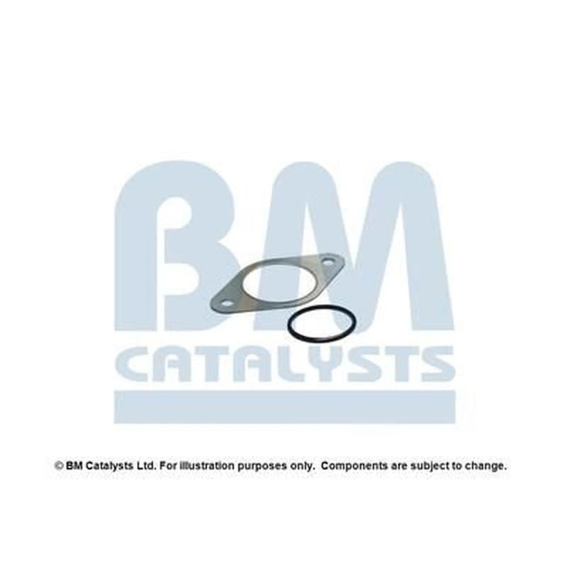 BM Catalysts Fitting Kit FK11059A FK11059A