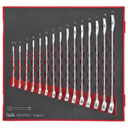 Teng Tools Combination Spanner Set FOAM2 15 Pieces