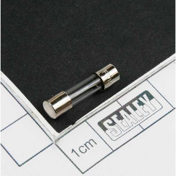 Sealey Fuse 10a