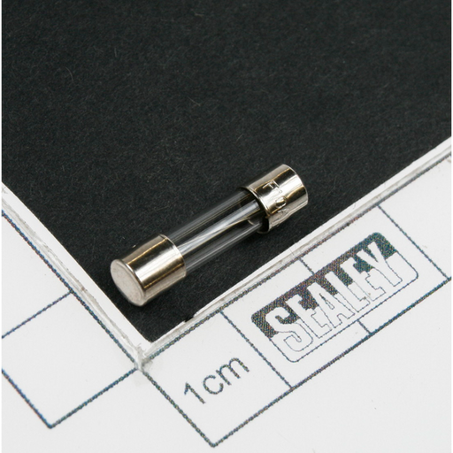 Sealey Fuse 10a