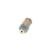 Bosch Fuel Rail Pressure Relief Valve (Common Rail Diesel) 1 110 010 035