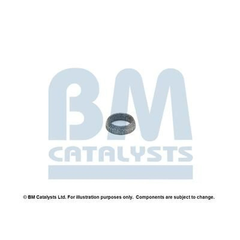 BM Catalysts Fitting Kit FK90194A FK90194A