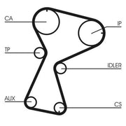 Continental CTAM Timing Belt Kit with Rollers CT1026K2