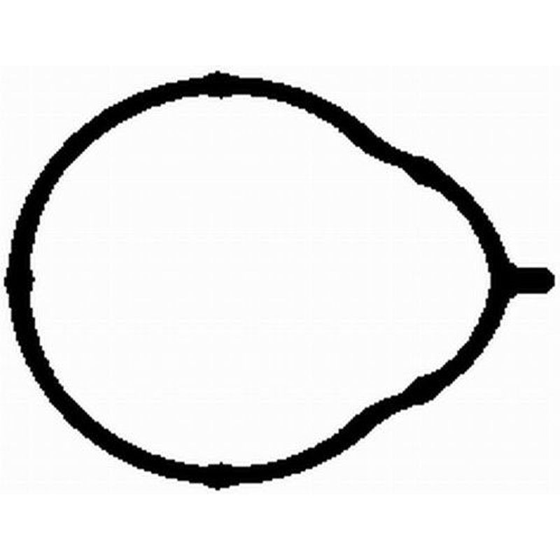 BGA Intake Manifold Gasket Thick MG2581
