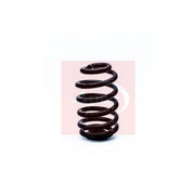 Apec Rear Suspension Coil Spring ACS1316