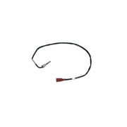 NRF Exhaust Gas Temperature Sensor before soot particu 707084