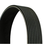 Continental CTAM Multi V-Ribbed Drive Belt 9PK1200 OE 51968200265 5000686684
