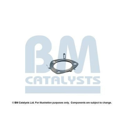 BM Catalysts Fitting Kit FK11396A FK11396A