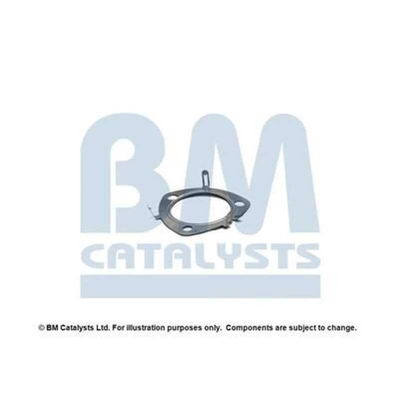 BM Catalysts Fitting Kit FK11398A FK11398A
