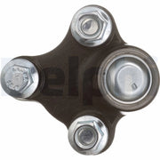Delphi Ball Joint Lower TC6816