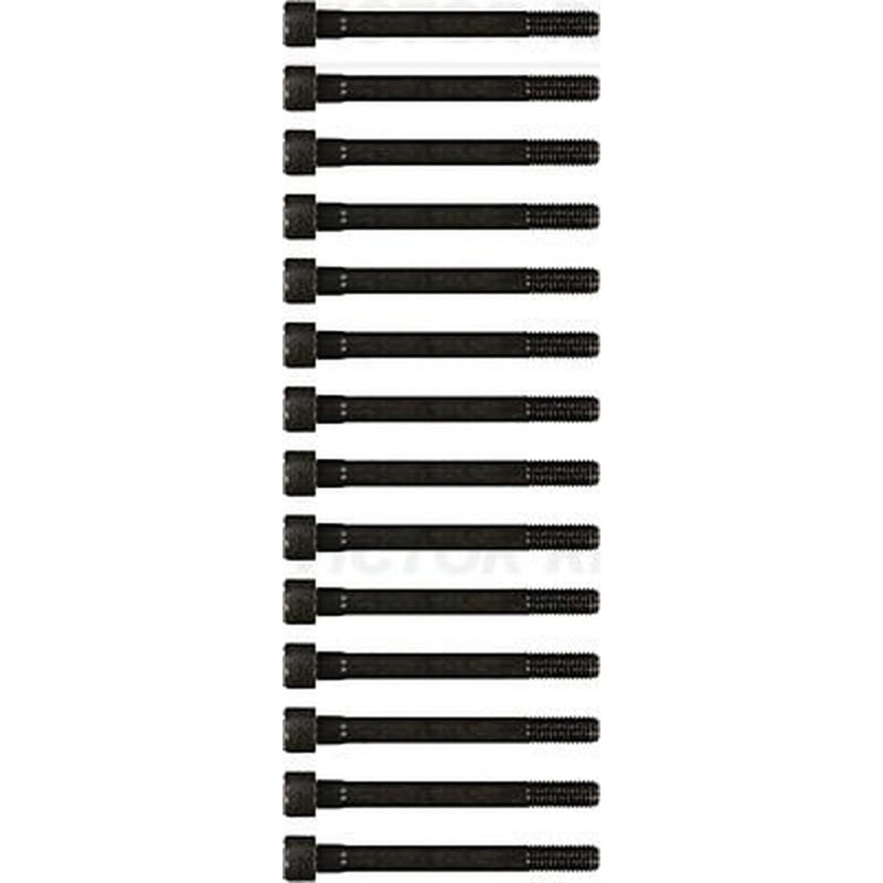 Victor Reinz Cylinder Head Bolt Set M12 14-55040-01