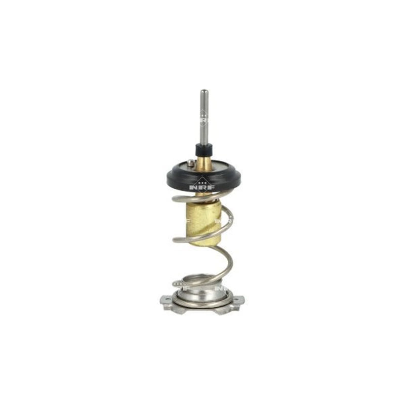 NRF Thermostat,Coolant 725093
