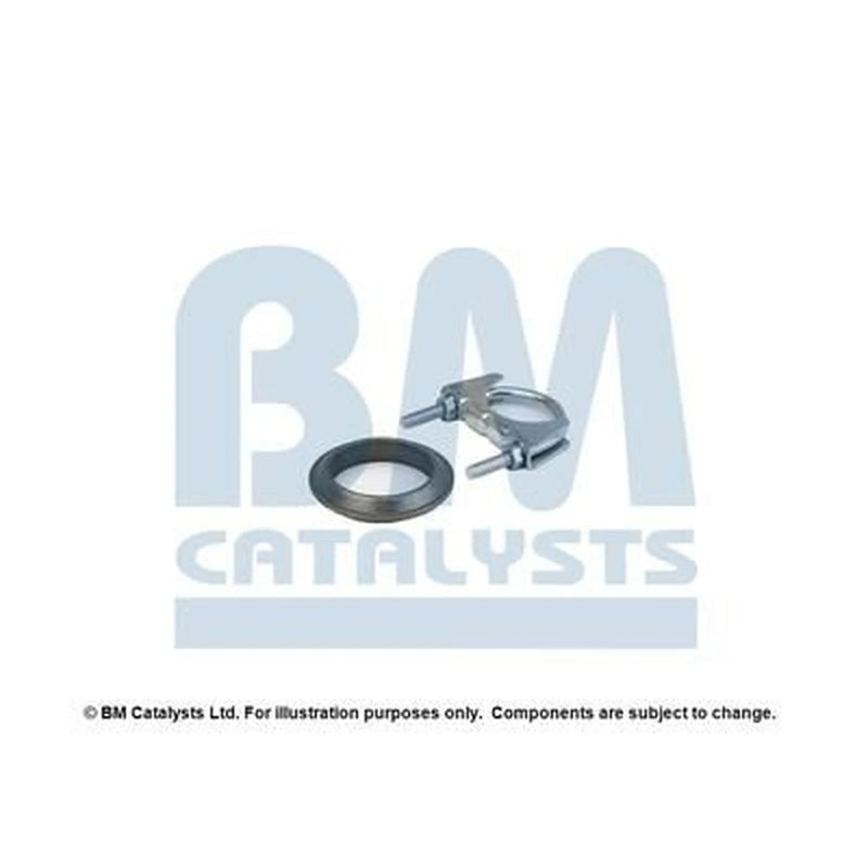 BM Catalysts Fitting Kit FK90796A FK90796A
