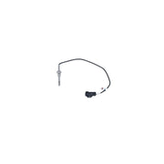 NRF Exhaust Gas Temperature Sensor before soot particulate filt 707200