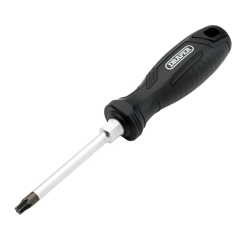 Draper TX-STAR® Screwdriver T40 x 100mm with Magnetic Tip