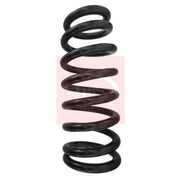 Apec Front Suspension Coil Spring ACS1552