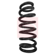 Apec Front Suspension Coil Spring ACS1552