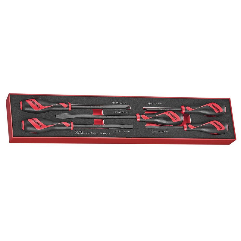 Teng Tools Screwdriver Set FOAMX4 5 Pieces