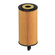 Hengst Engine Oil Filter E204H D218