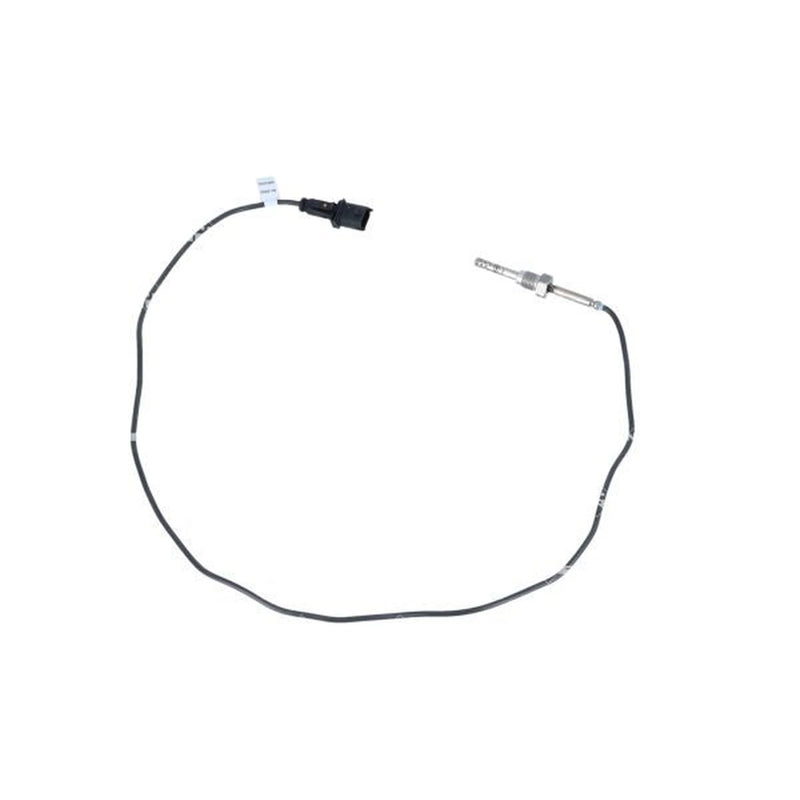NRF Exhaust Gas Temperature Sensor before soot particulate f 707163