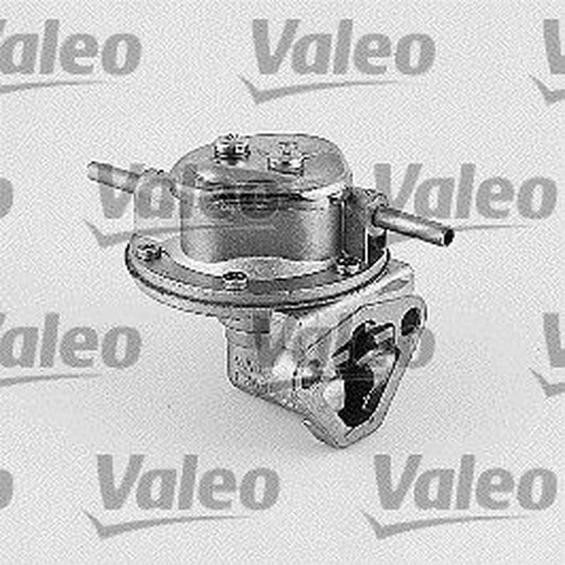 Valeo Fuel Pump Assembly 247035