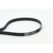 Continental CTAM Multi V-Ribbed Drive Belt 7PK1795