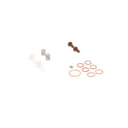 Bosch Fuel Pump Repair Kit 2 447 010 004