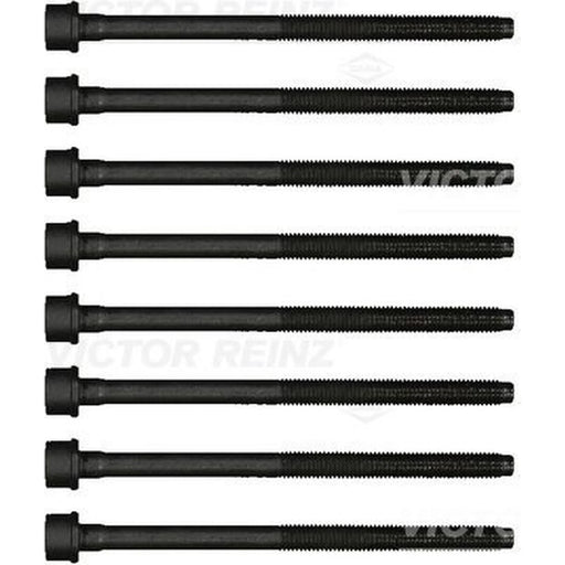 Victor Reinz Cylinder Head Bolt Set M10 14-17428-02