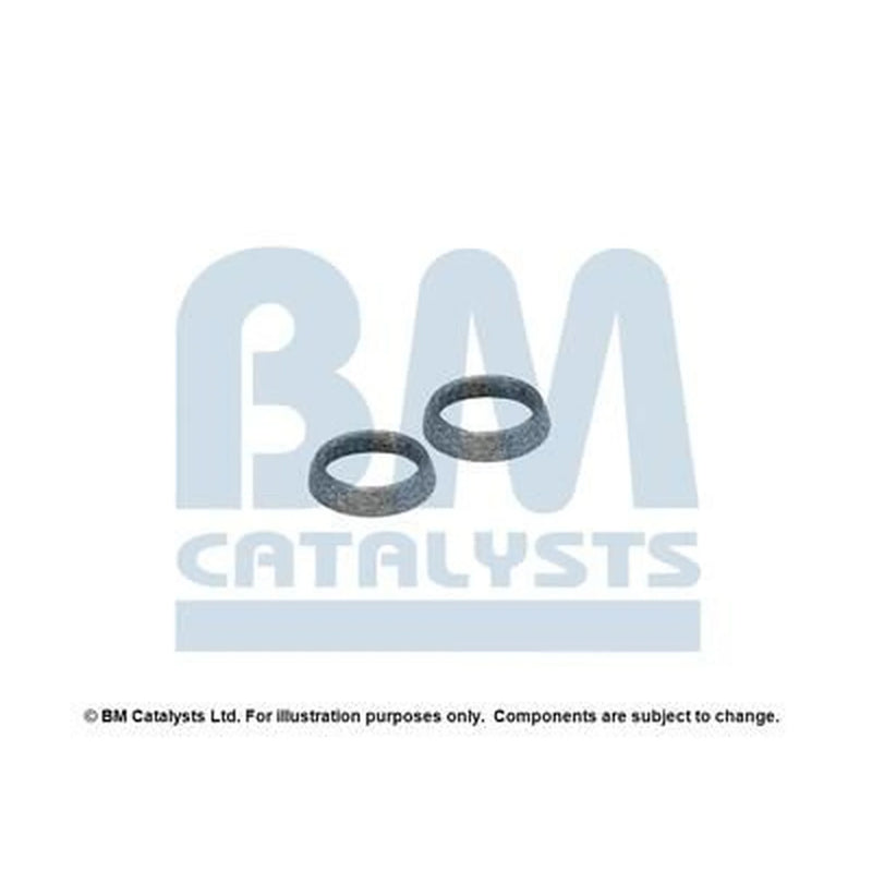 BM Catalysts Fitting Kit FK91749A FK91749A