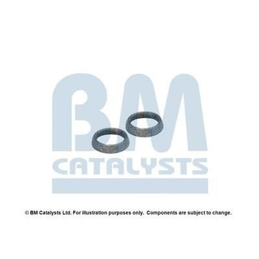BM Catalysts Fitting Kit FK91986A FK91986A