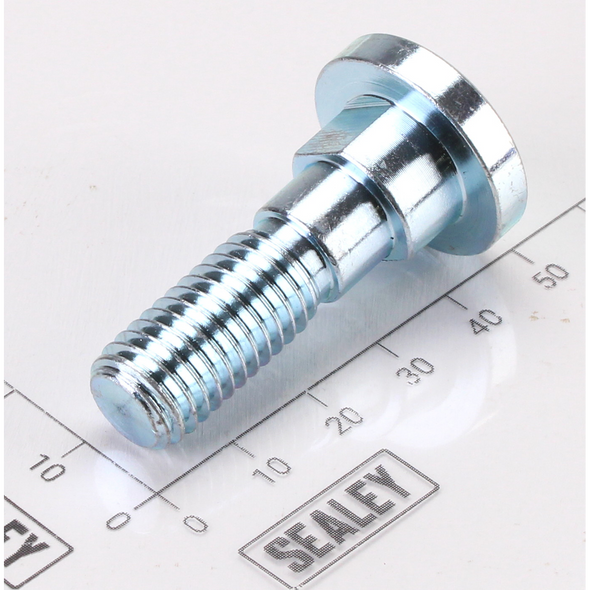 Sealey Screw