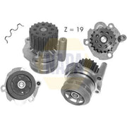 NAPA Engine Cooling Water Pump NWP1062