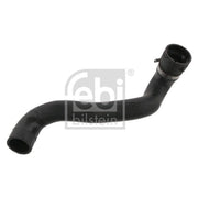 Febi Radiator Coolant Hose Lower Right ID 36146