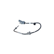 NRF Exhaust Gas Temperature Sensor before soot particulate fi 707303