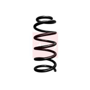 Apec Rear Suspension Coil Spring ACS1693