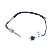 NRF Exhaust Gas Temperature Sensor before soot partic 707064