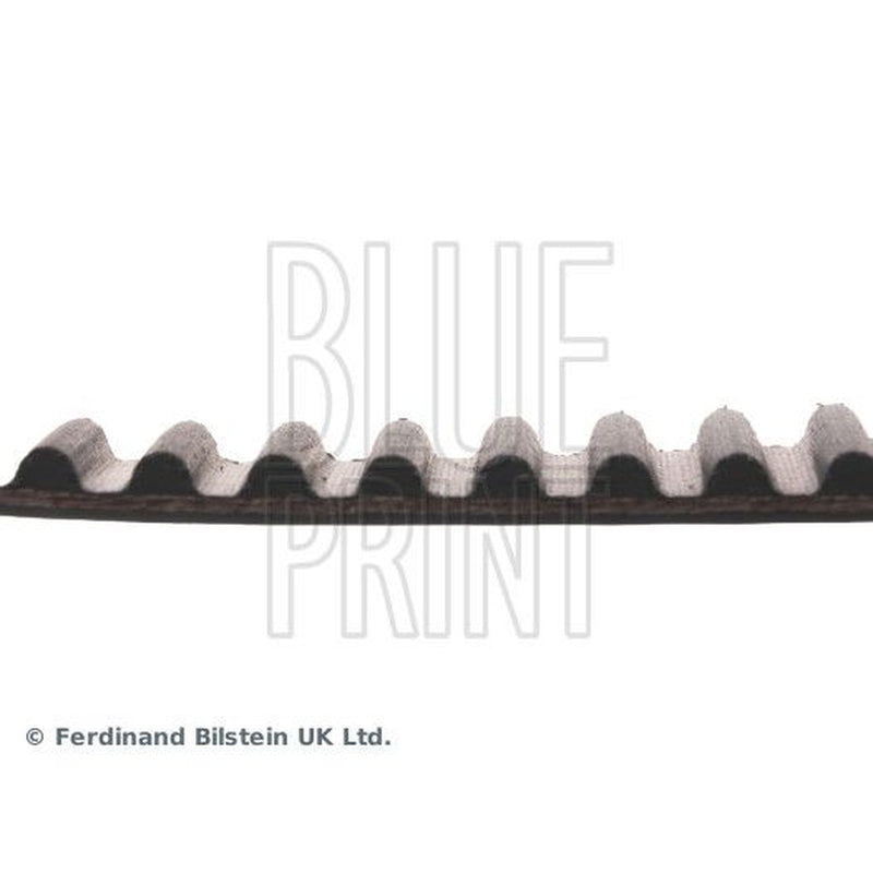 Blue Print Timing Belt Cambelt 111 Teeth ADC47527